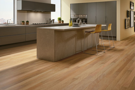 Transparent bg loader