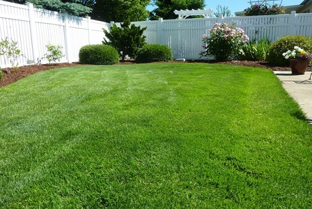 Transparent bg loader