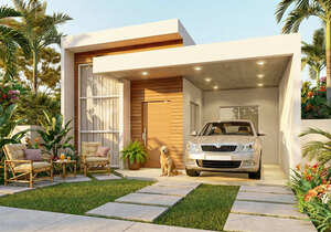 Transparent bg loader